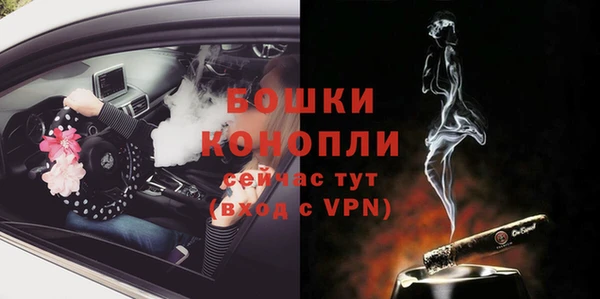 хмурый Дмитриев