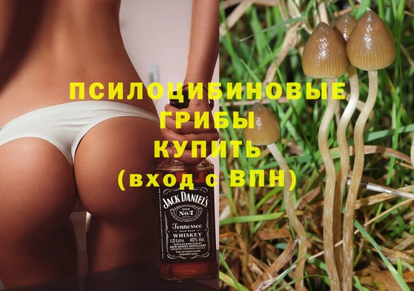 мяу мяу мука Пестово