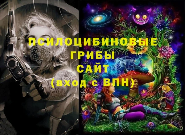 хмурый Дмитриев