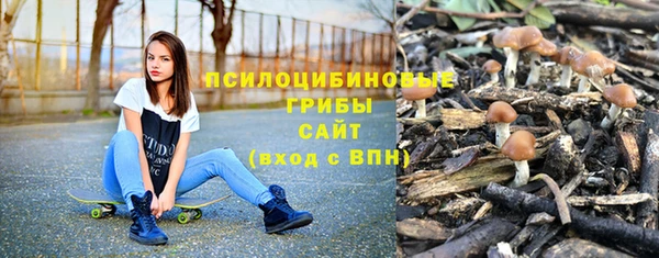 хмурый Дмитриев