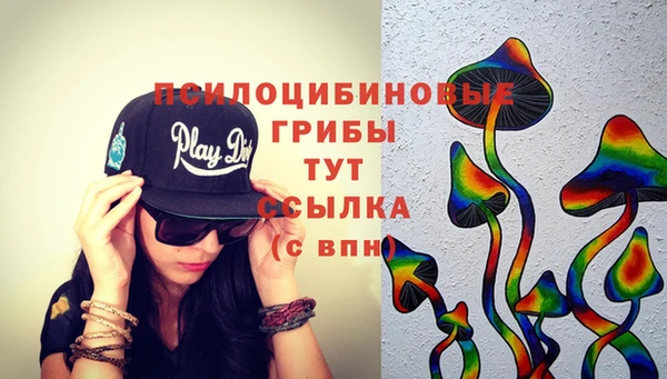 хмурый Дмитриев