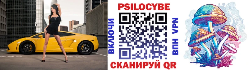 Псилоцибиновые грибы Psilocybe  Пересвет 